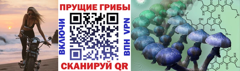 Псилоцибиновые грибы ЛСД  Купить закладки  Можга 